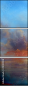 49140908