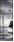 49167138