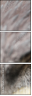 49245808