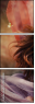 49298048