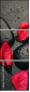 49357610
