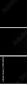 49444214