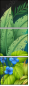 49463206