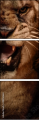 49550663