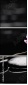 49632305