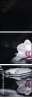 49632370