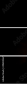 49659267