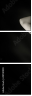 49700990