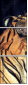 49749076