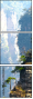 49828442