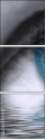 49921743