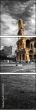 50130515