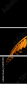 50197019