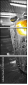 50351832