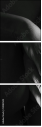 51083503