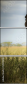 51170548