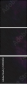 51192902