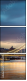 51369155