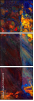 51564370