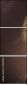 51651433