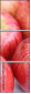 51930059
