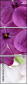 51957313