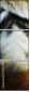 51974402