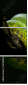 52158652