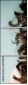 52290207