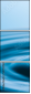 52455764