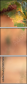 52573606