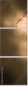 52744741