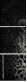 52783556