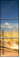 52793015