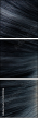 52931906