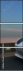 53030903