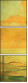 53049559