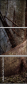 53836351