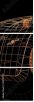 53945757