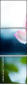 54351537