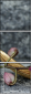 54405316
