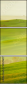54529677