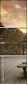 54670064