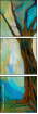 54800601