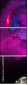 54847785