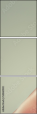 54860040