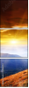 54860114