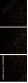 54969981