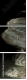 55066305