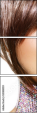 55088059